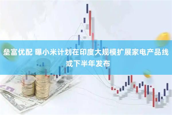垒富优配 曝小米计划在印度大规模扩展家电产品线  或下半年发布