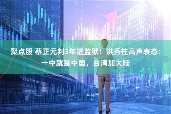 聚点股 蔡正元判3年进监狱！洪秀柱高声表态：一中就是中国，台湾加大陆