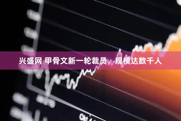 兴盛网 甲骨文新一轮裁员，规模达数千人