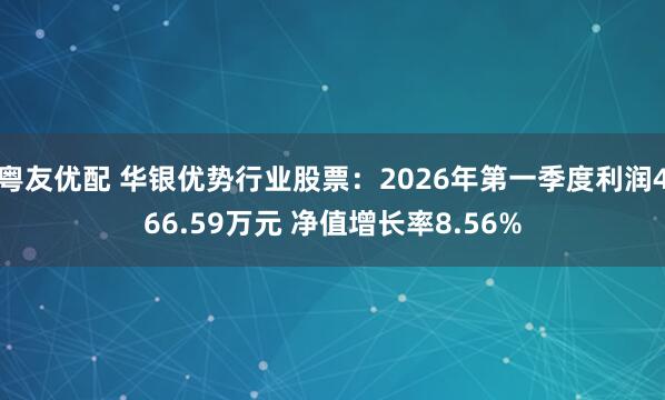 粤友优配 华银优势行业股票：2026年第一季度利润466.59万元 净值增长率8.56%