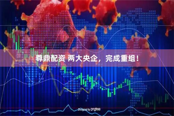 尊鼎配资 两大央企，完成重组！