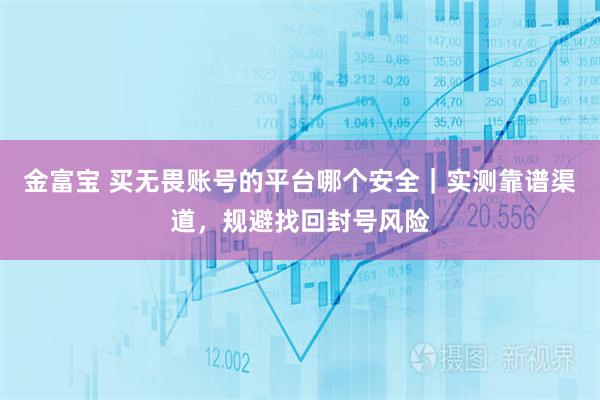 金富宝 买无畏账号的平台哪个安全｜实测靠谱渠道，规避找回封号风险