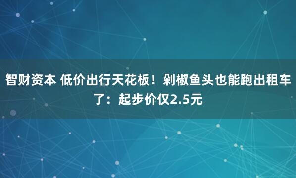 智财资本 低价出行天花板!剁椒鱼头也能跑出租车了:起步价仅2.5元