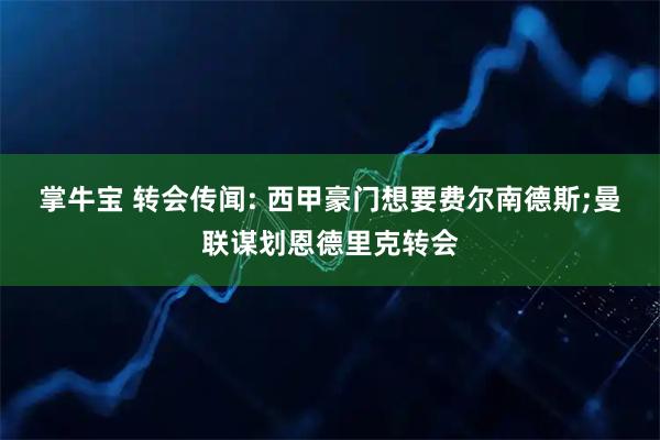 掌牛宝 转会传闻: 西甲豪门想要费尔南德斯;曼联谋划恩德里克转会